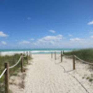 Meet your Posher, Dassi